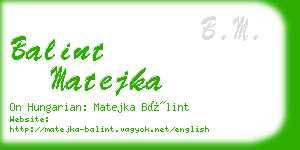 balint matejka business card
